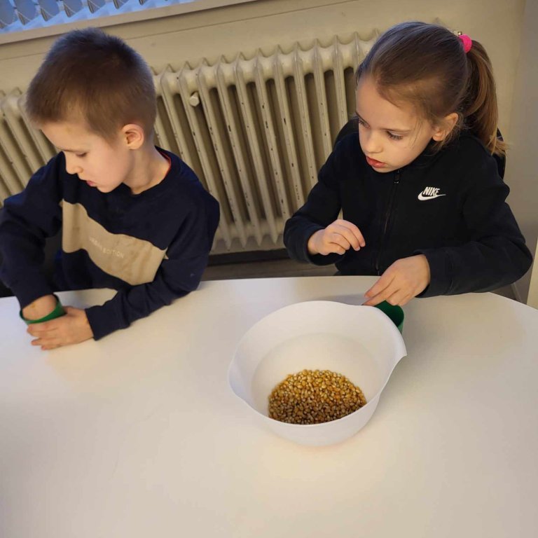 6bdb56e6-e390-40d0-81e7-9f036127c5ff