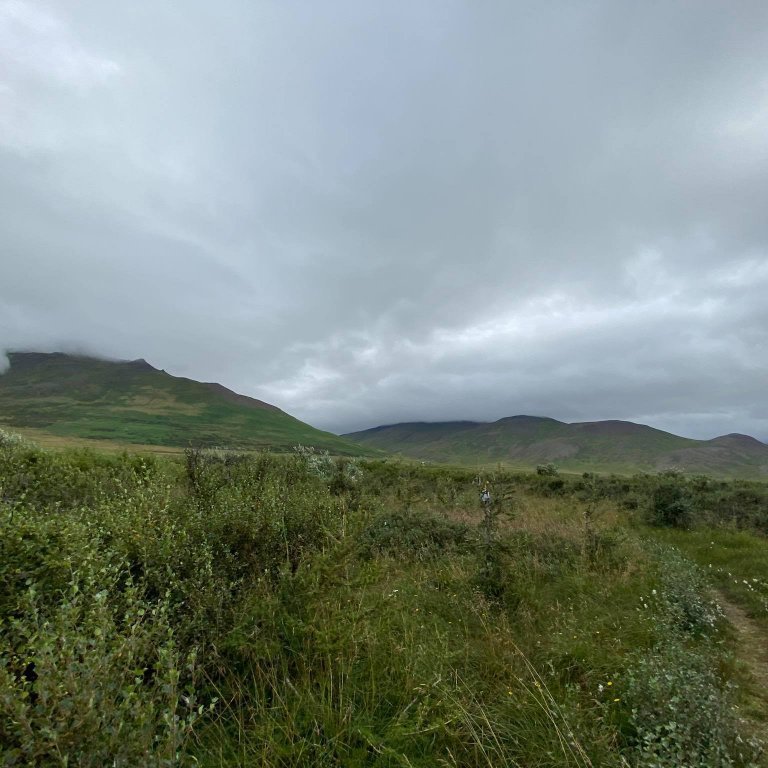 240754912_213488454128055_6427487736073913259_n