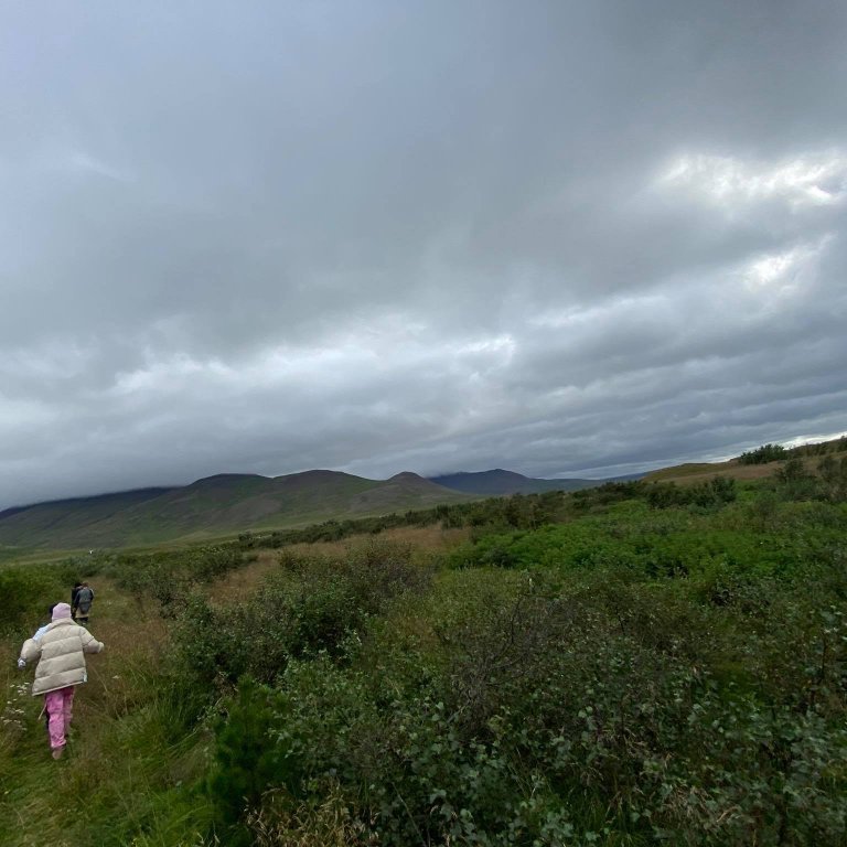 240774630_281479160021634_7583900465076535361_n