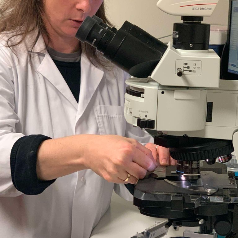 c3c02731-06a0-4df6-8257-41cb8194d740-1