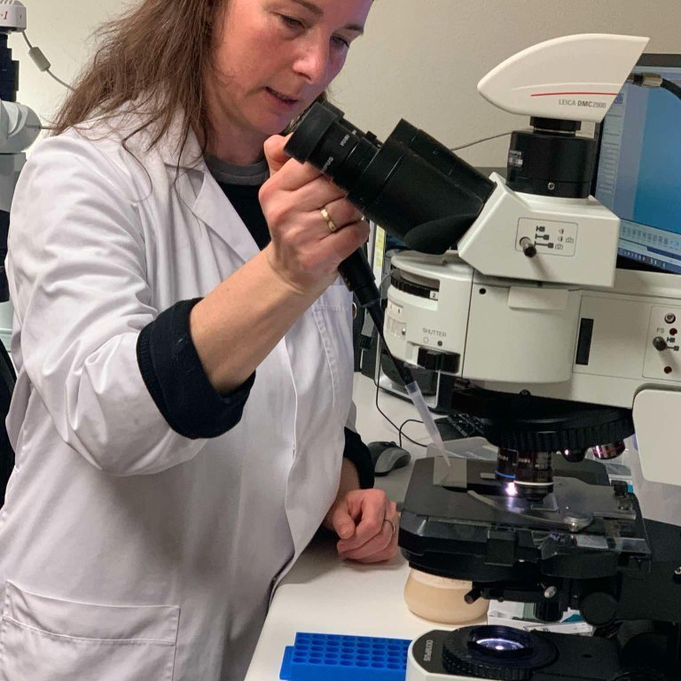 db8bcf40-c0cd-4f27-8219-c776f7cfece2