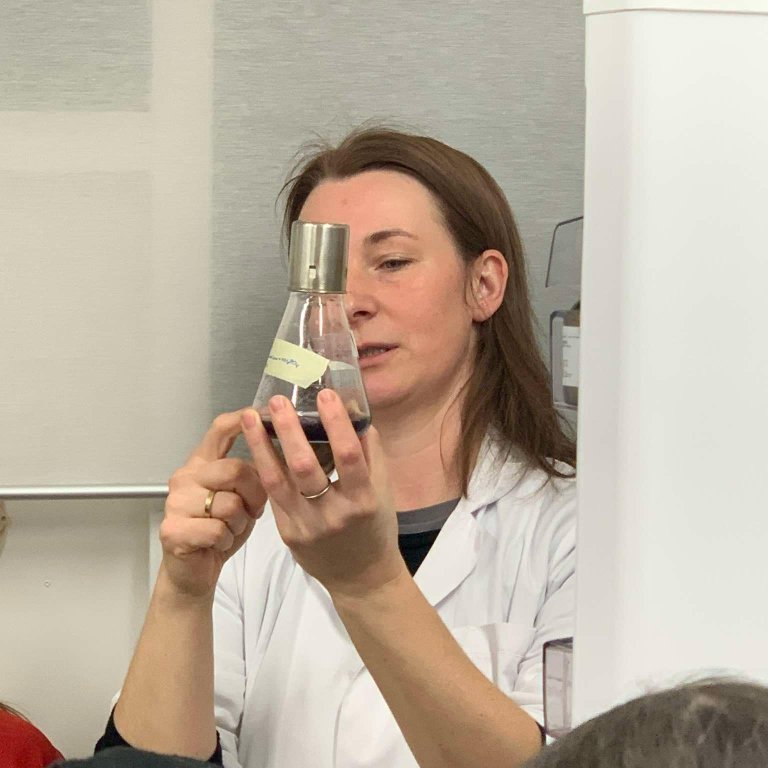 e44b9f86-54d4-4cd5-8234-0a526eea9ba5