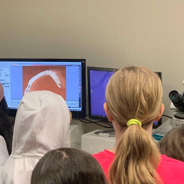 fa07a272-5e07-4897-b5d0-d9c21b65c7ae