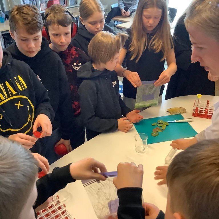 283511742_1415845982160747_5505762292358243527_n