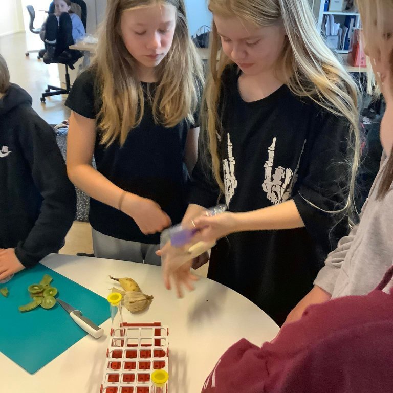 283635333_770955677615646_2903882737010703401_n