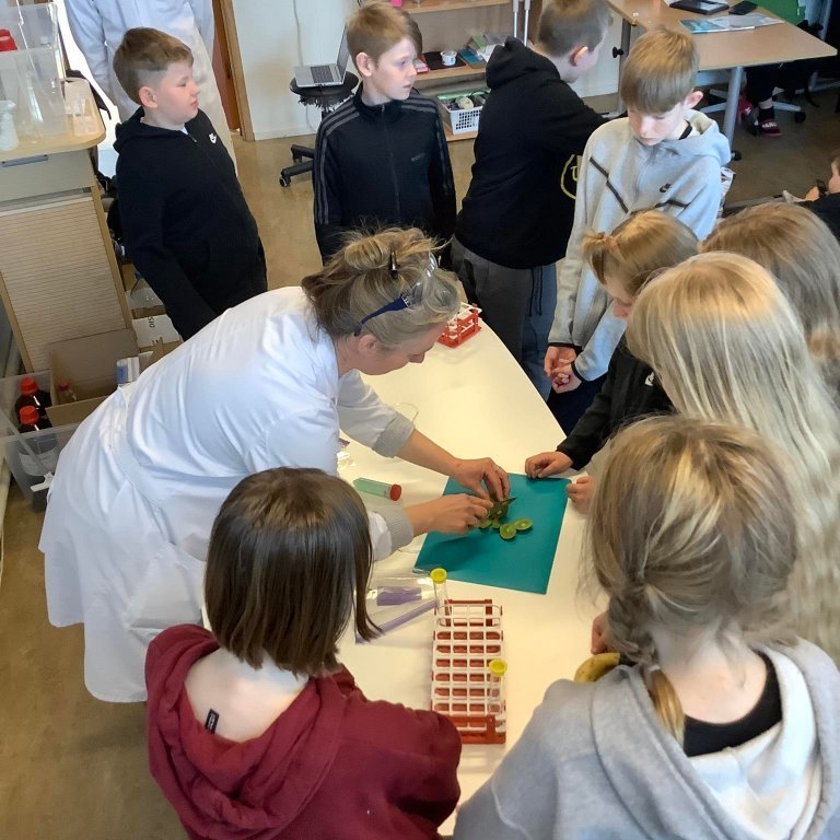 283717021_1726904804316584_1144731905365945884_n