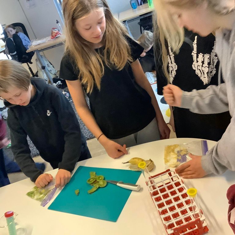 284024601_3176791549245298_1515663385885538620_n