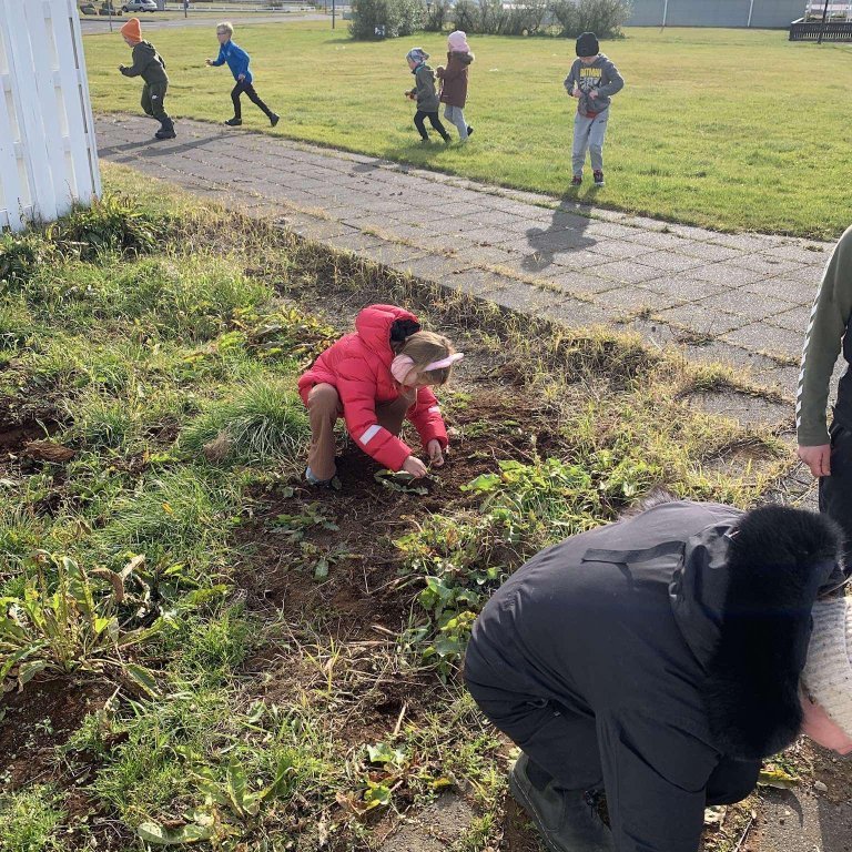 064a1356-04a0-4482-8ed9-be8804be1961