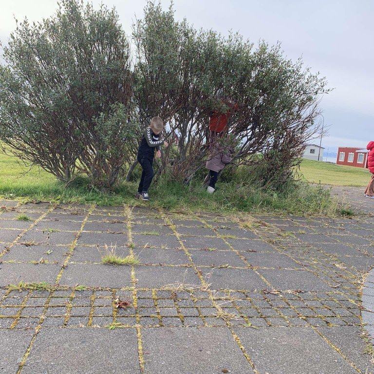 1f0f9833-a25d-47ef-8cb4-f888651d5065