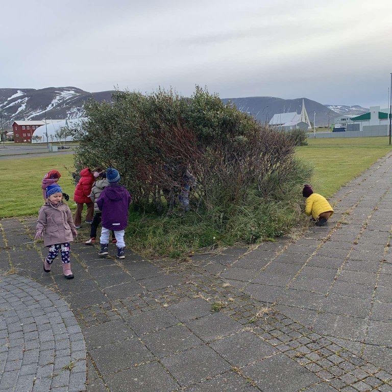 31f42ecf-6667-412e-ae26-f2089bca0a7a