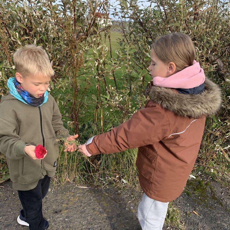 a5344ca6-d49d-4e0e-b597-241049b3e55e