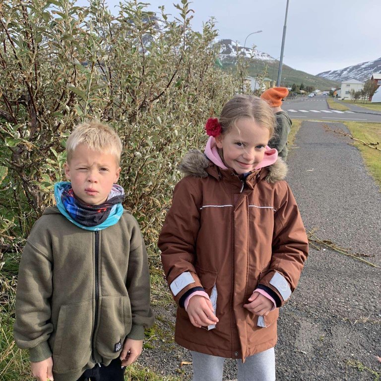 d366a535-5a1a-4ab3-8d08-c5c03e29cf75