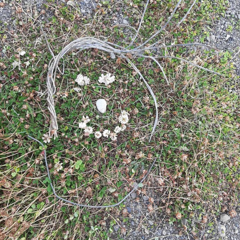 377954196_274371888824360_5201983793400836417_n