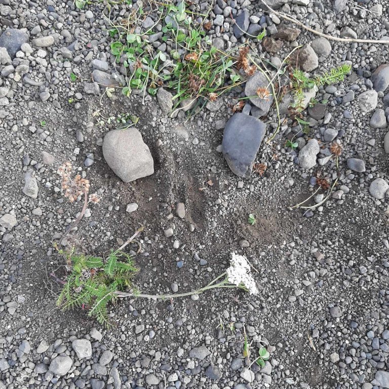 378101082_256125616814165_4275519116673151175_n