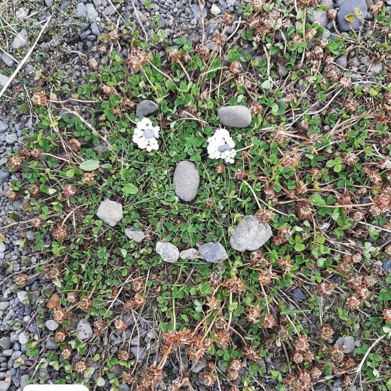 378102122_980505126395418_3790216439979455531_n