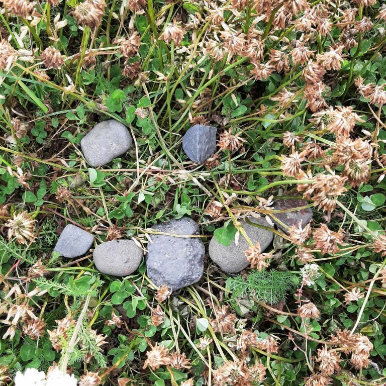 378102626_1005657843915452_6963131449071252235_n