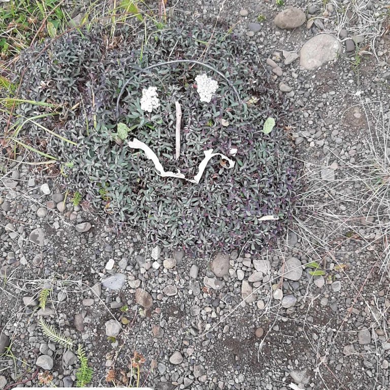 379272986_841189590887510_2350168374728887917_n