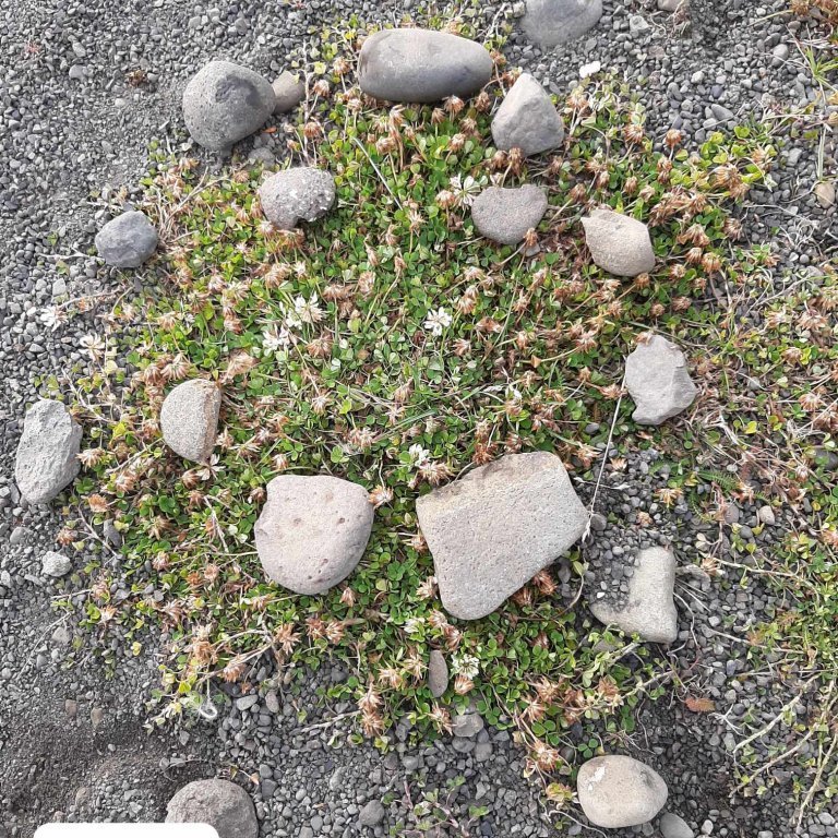 379308093_6022971484470189_1329781577723388912_n