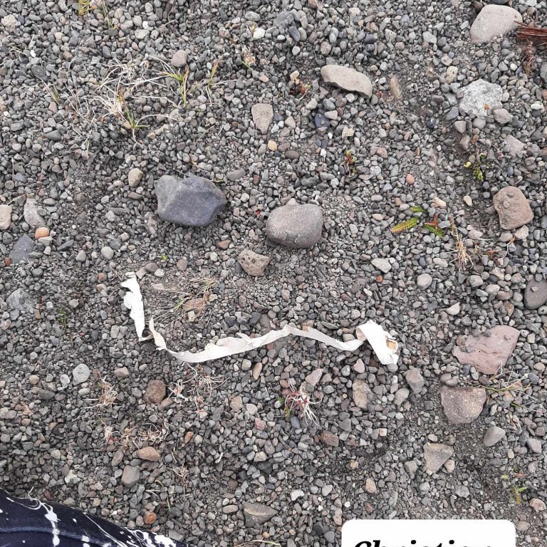 379312560_1480040359486819_4282968501391272264_n