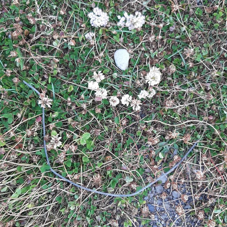 379314876_846822213555527_2979279660731562908_n