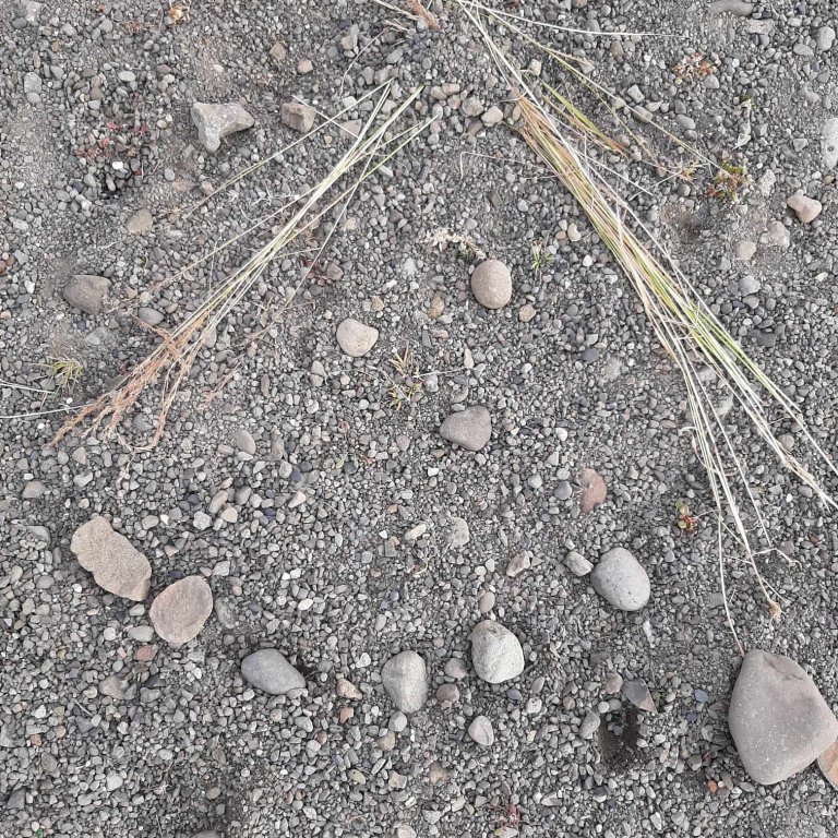 379316735_3614523528867034_7293709532982448203_n