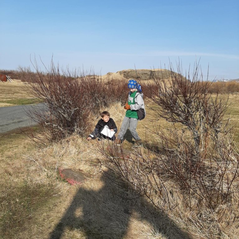 e7fbd963-d545-4c3a-87f2-40a454cddf99