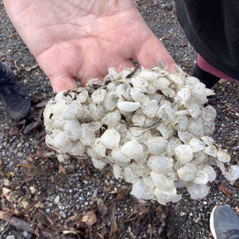 377915901_1042494913422460_3153808834502346382_n