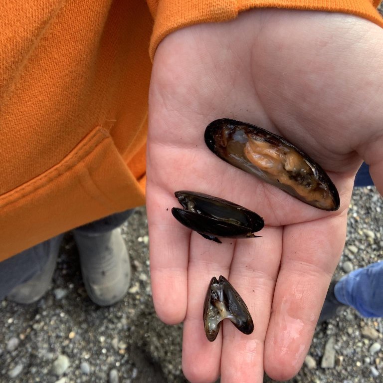 377918961_865811648302128_9071356149167455918_n