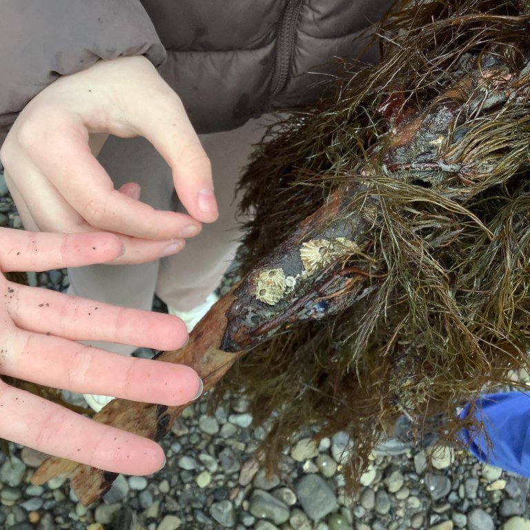 377923285_632043959043271_8342937297288391172_n