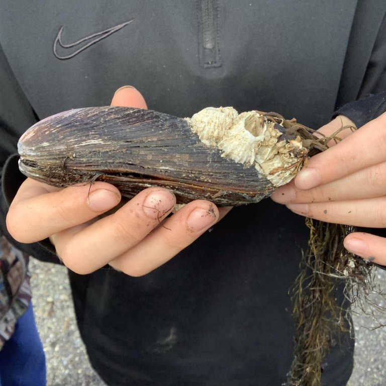 377964072_611247284414611_4466609474219875838_n