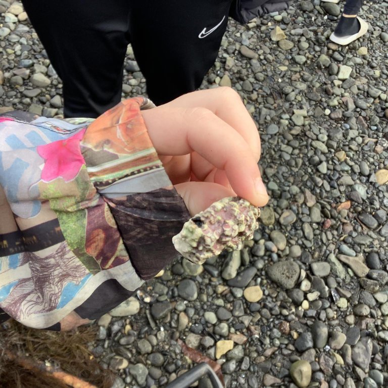 378007866_681052263971993_8510240994555914740_n