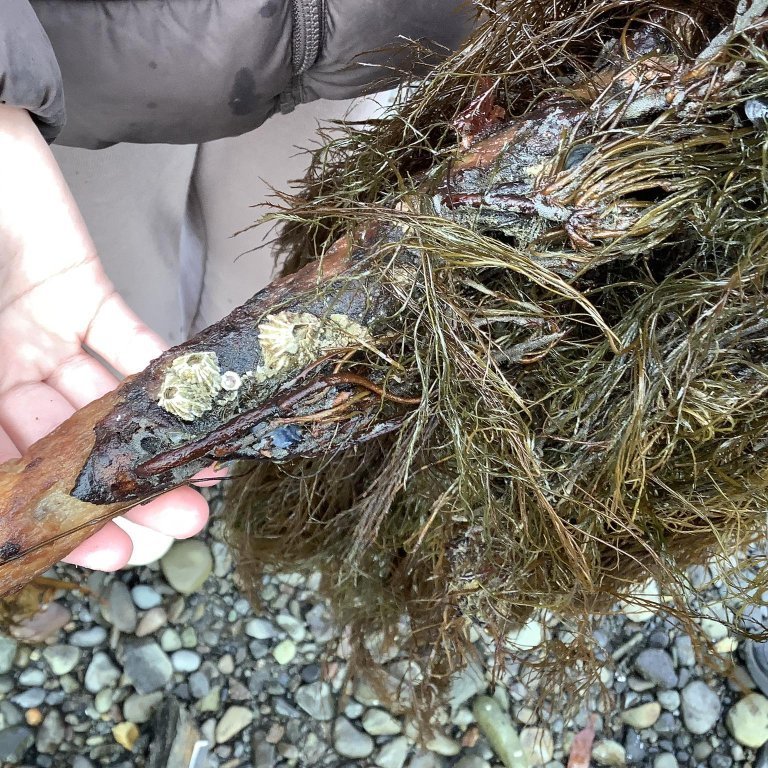 378017059_1037370497617641_4170057234584393380_n-1