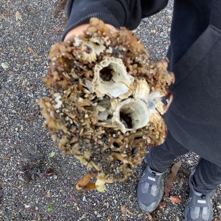 378039717_850507899607470_7171899722196582349_n