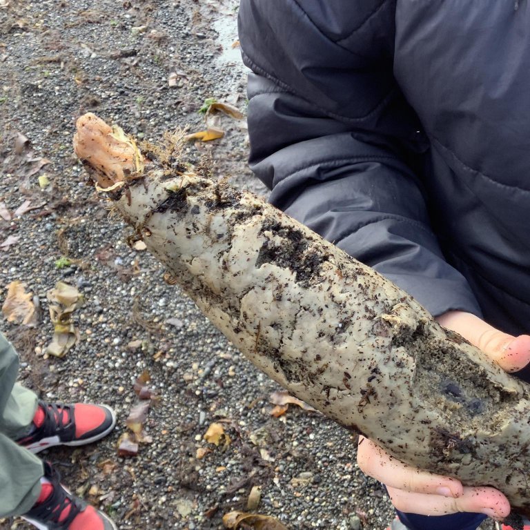 378079102_627384619577909_6861843239158389654_n