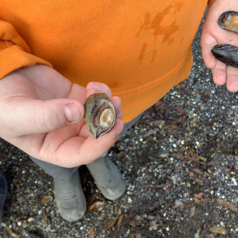 378099003_307728948609468_5116495204784409759_n