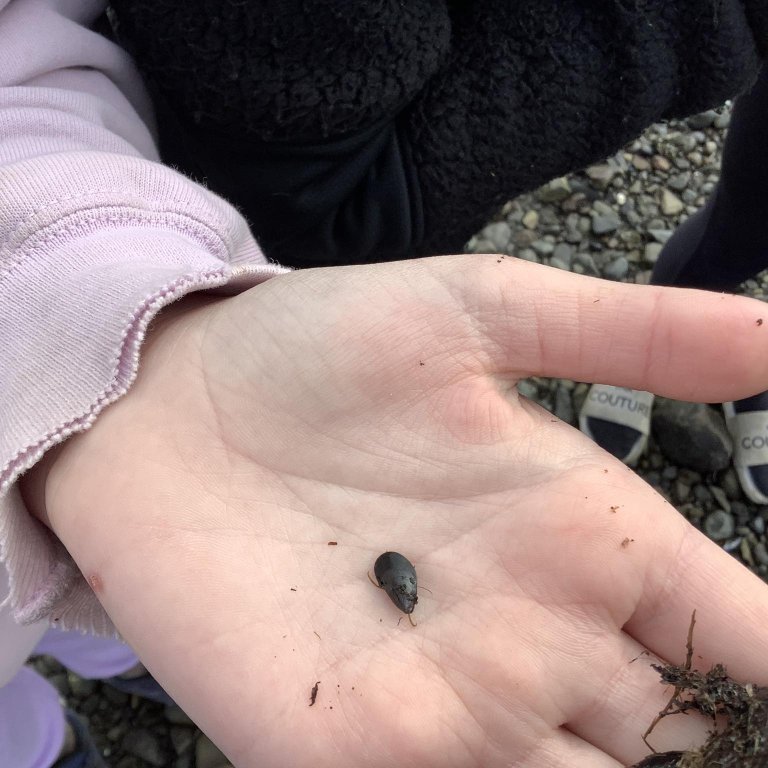 378099006_324893273237521_4582784818304227576_n