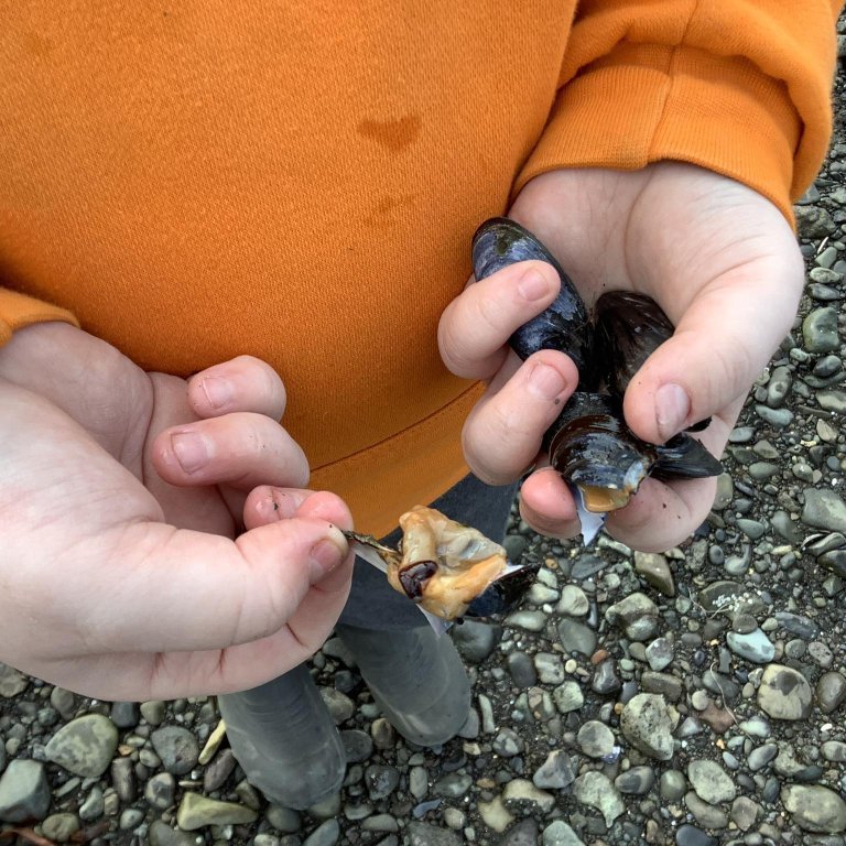 378099533_295963326519586_6375112265144001765_n