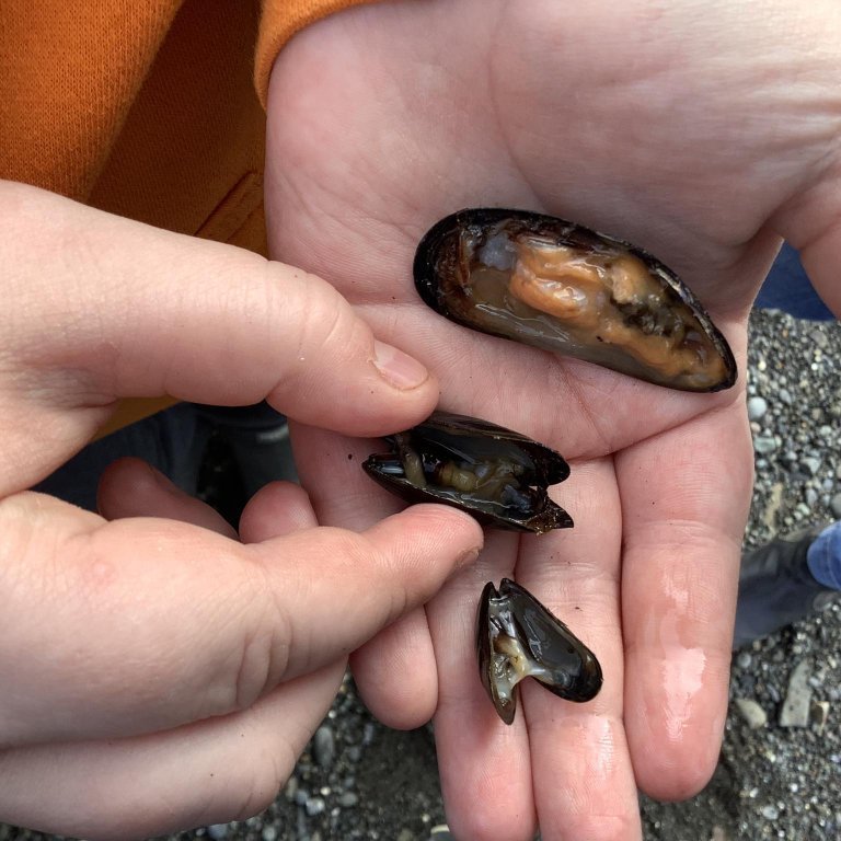 378099765_6710398279043795_4489894558381282824_n