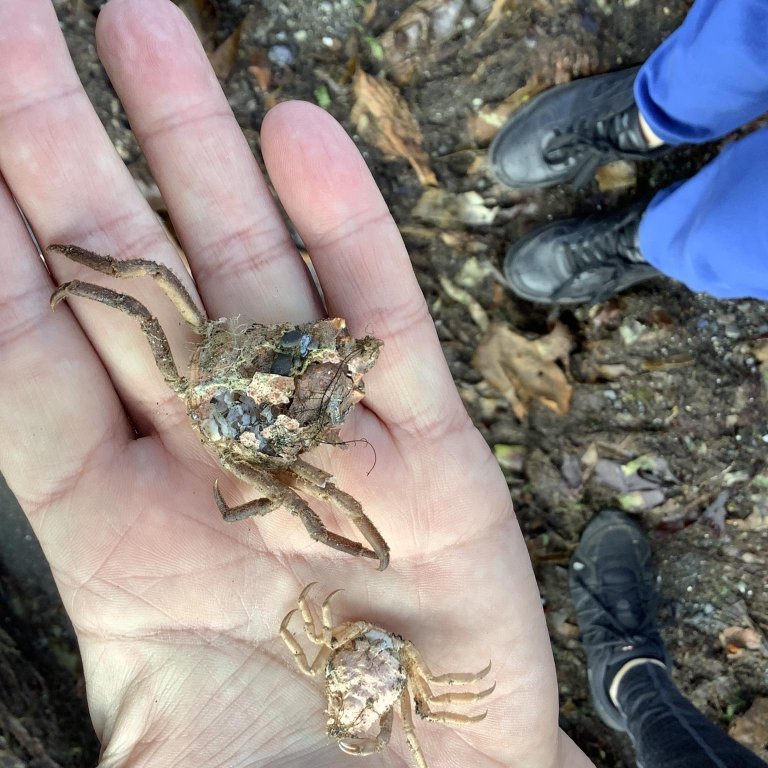 378099781_270664365799838_1995455415785089703_n