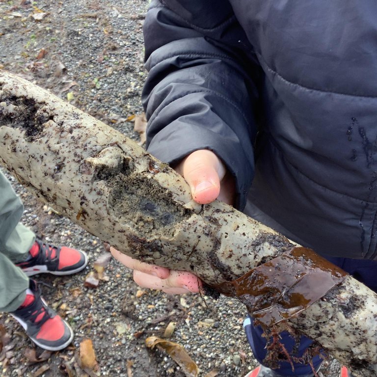 378101464_270350252602055_6909503081093575674_n