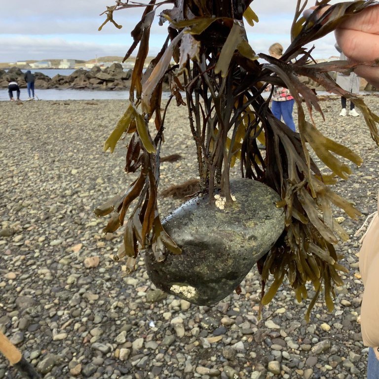 379276173_1105551043756514_14561597826969556_n