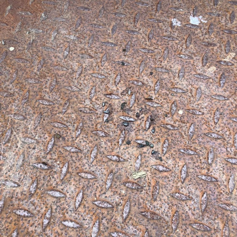 379429016_305980155353838_7409383208302896391_n