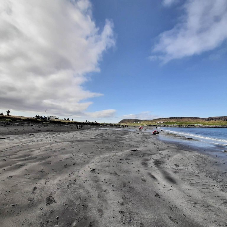 348356255_579574417495153_1203026149199091131_n