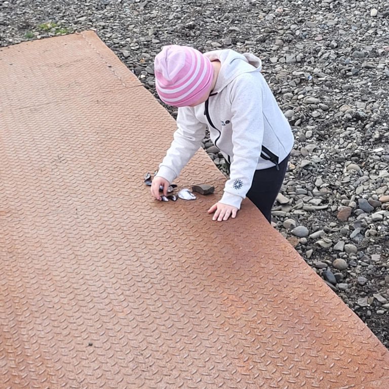 63c29a6c-dd6d-41c3-89d2-99d1dc835cf3