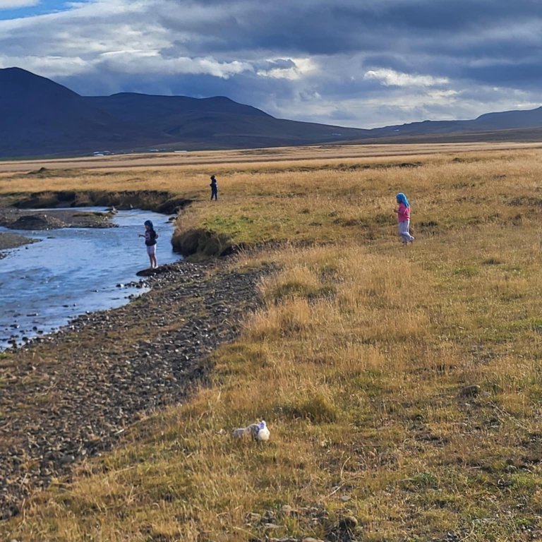 a15a3748-9980-482d-9957-7d1a04170953