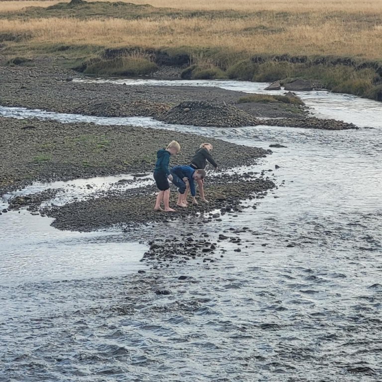 d5462054-c16d-47fe-9430-d05b912a0e64