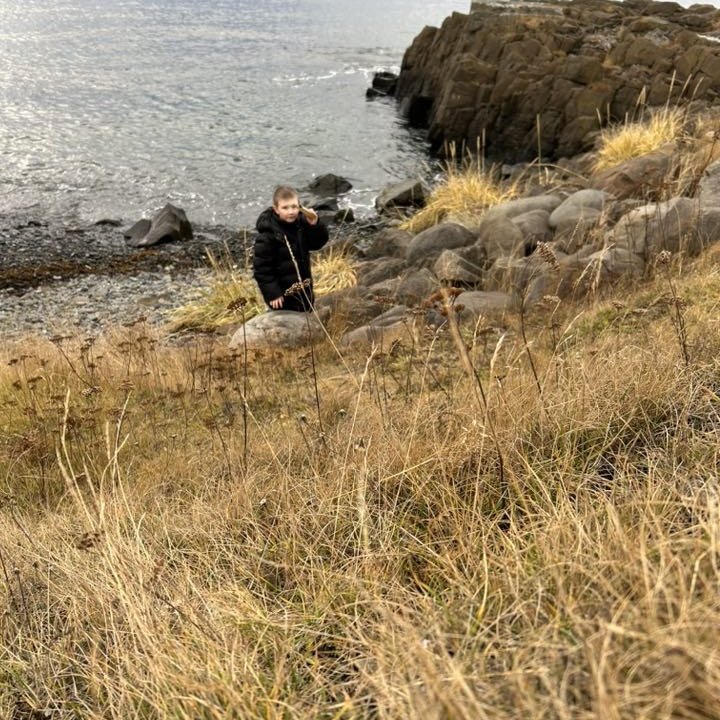 394036753_299799399559648_8949731204984542426_n