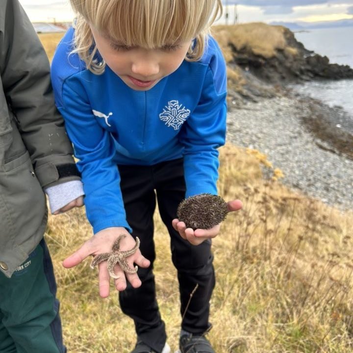 394182839_230332020056503_8537298025382738101_n