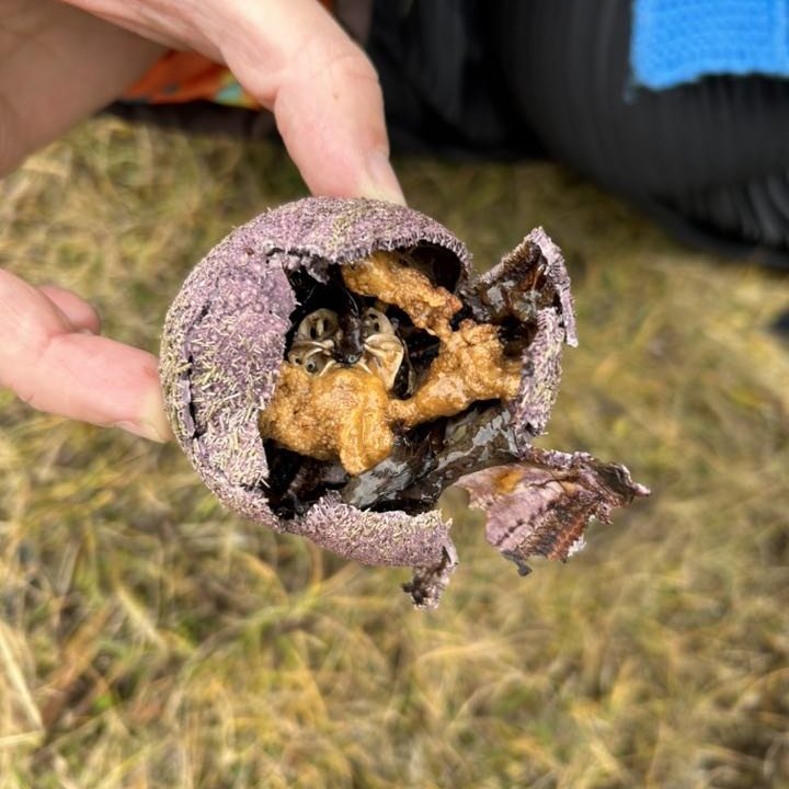 394186661_3622754497985537_4304811145769748311_n