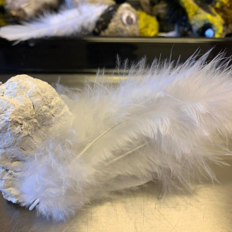 40b14fe2-9d0d-4dca-98d9-087f29ee9ed8